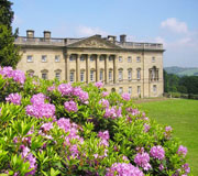 Image of WENTWORTH CASTLE GARDENS